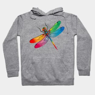 Colorful Dragon Fly Hoodie